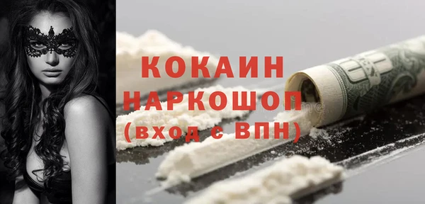 амф Верхний Тагил