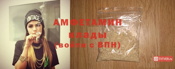 амф Верхний Тагил