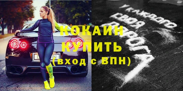 амф Верхний Тагил