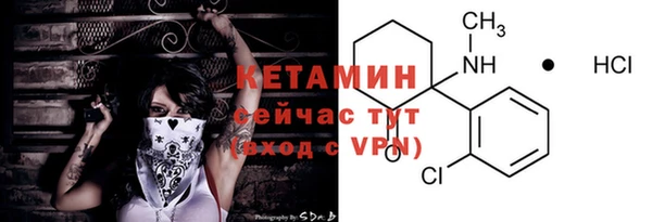 амф Верхний Тагил