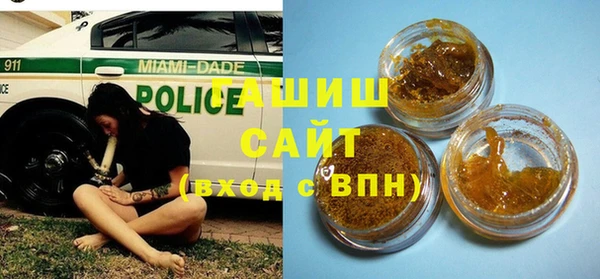 амф Верхний Тагил
