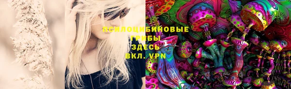 MESCALINE Верея