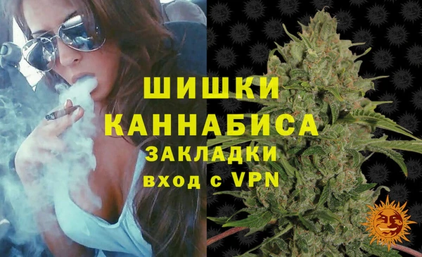 амф Верхний Тагил