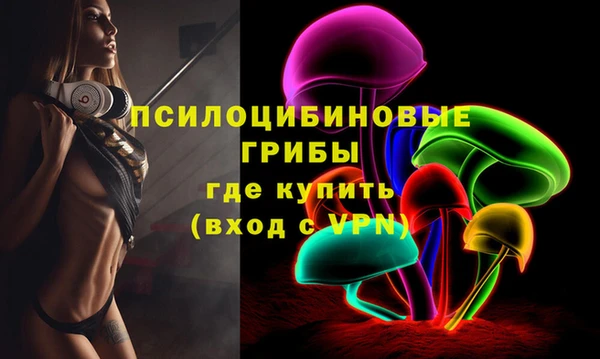 амф Верхний Тагил