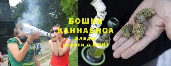 амф Верхний Тагил