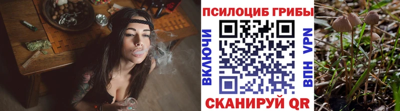 Галлюциногенные грибы ЛСД  ОМГ ОМГ зеркало  Вяземский 